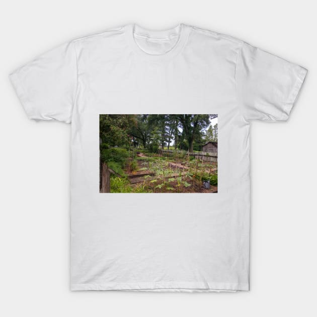 Peaceful Garden Plantation Setting with Plants and Vegetables T-Shirt by SafariByMarisa